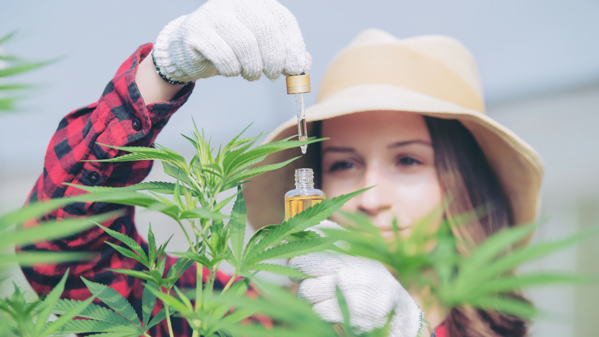 The Health Benefits of CBD: Exploring Its Potential for Wellness